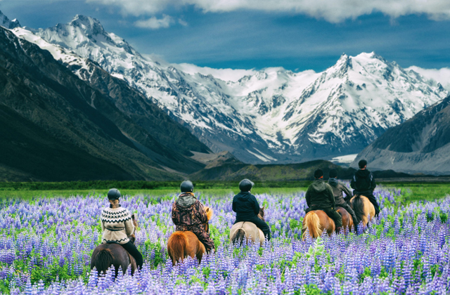 The Ultimate New Zealand Travel Guide for First-Time Visitors