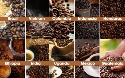 The Top 10 Coffee Producing Regions Around the World