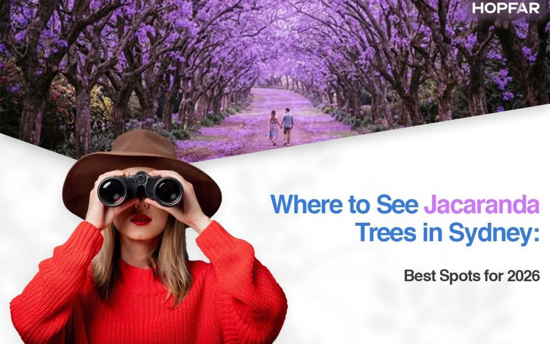 Where to See Jacaranda Trees in Sydney Best Spots for 2026