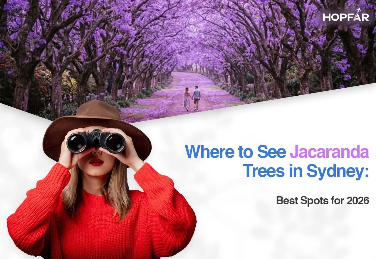 Where to See Jacaranda Trees in Sydney Best Spots for 2026
